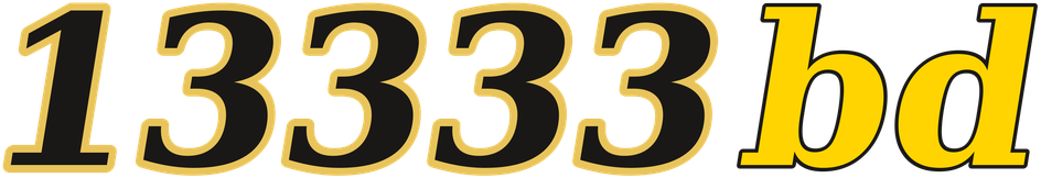 13333bd logo
